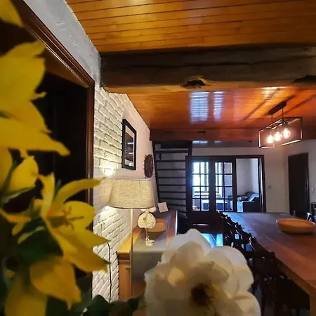 Les Grands Chais * Ortho