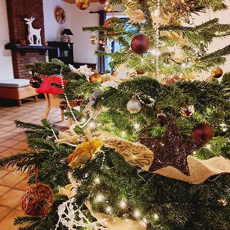 Les Grands Chais Ortho