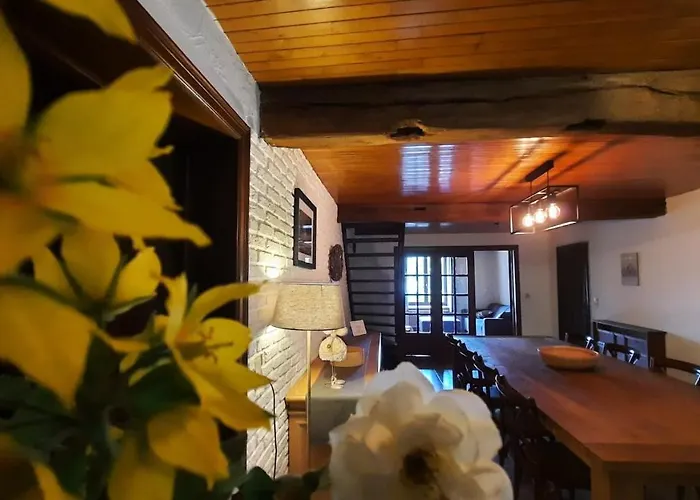 Les Grands Chais * Ortho