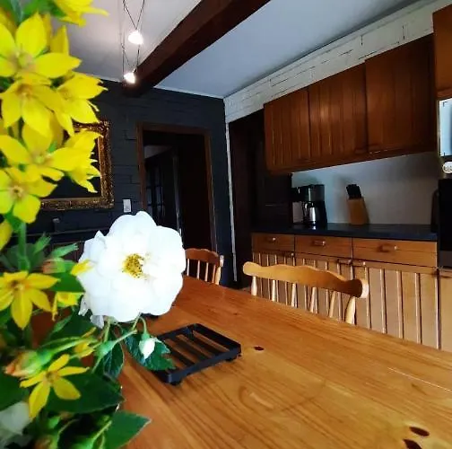 Les Grands Chais Ortho