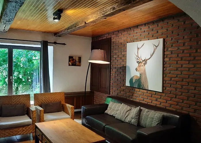 Les Grands Chais Ortho