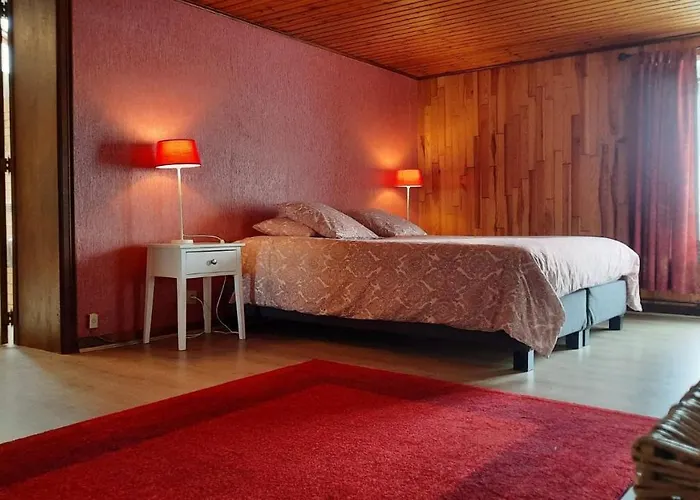 Les Grands Chais * Ortho