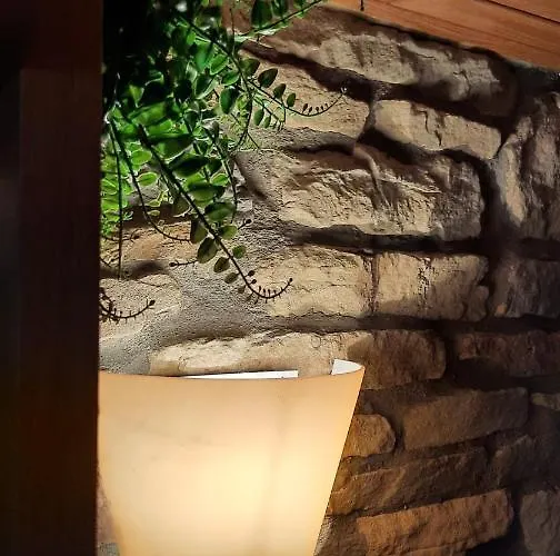 Les Grands Chais Holiday home Ortho