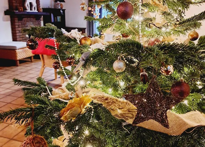 Les Grands Chais Ortho